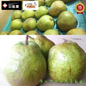 Aƒpy2024/12 \tzQG_Ƃy EtX zp 3kg R`Y QG_ I yz u ʕ 3kg ̓  Mtg N Mtg 