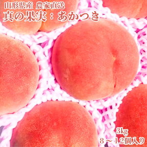 9{y ^̉ʎ    2kg ` z 6`12 u    ʕ  R`  Â  O ̓  쒆 n  ƒp Mtg ăMtg t
