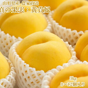 9{y ^̉ʎ M   2kg ` z 6`12 u    ʕ  R`  Â  O ̓  쒆 n  ƒp Mtg ăMtg t