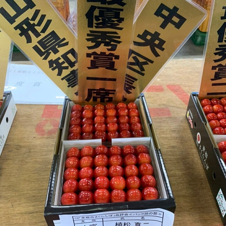 楽天市場】【2025年度予約受注】6月中旬発送【 さくらんぼ 佐藤錦 