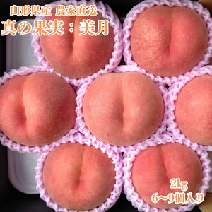 9{y ^̉ʎ    2kg ` z 6`12 u    ʕ  R`  Â  O ̓  쒆 n  ƒp Mtg ăMtg t[