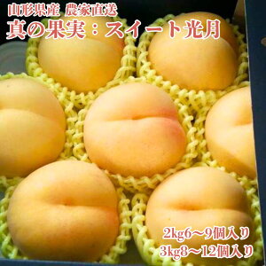 9{y ^̉ʎF 2kg ` z 6`12 u    ʕ  R`  Â  O ̓  쒆 n  ƒp Mtg ăMtg t[c 