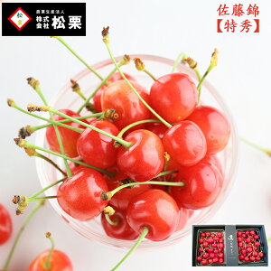 6�����{���� �M�t�g �v���[���g ���蕨 �y �������� ������ �z�y �G�i �z 2L�`L�����o�� 1kg �R�`���Y ���Q�G�_�� ���I �������� �u ������ �������� �T�N�����{ 1kg ���̓� �������� �M�t�g 
