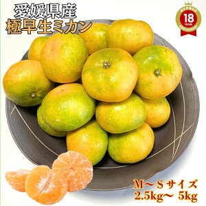 【 2025年度10月末と11月上旬出荷 】【 極早生 みかん M-Sサイズ 約2.5kg〜10kg 愛媛県八幡浜市産 】 「 愛媛県産 贈り物 お歳暮 愛媛みかん 蜜柑 ミカン 温州みかん 果物 小粒 小玉 甘い フルーツ