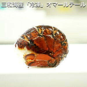 OaCY I}[e[ yI}[Gr 10{ ( 1 3/4oz 70g`100g Ji_Y zCV Ⓚ  ̓  CV  Gr rXN  Mtg  I}[CV e~h[ 