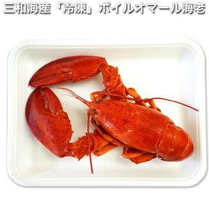 OaCY {C I}[CV 500g 2{ (v 1kg)@ ̓  CV  Gr rXN  Mtg  I}[CV e~h[ O   OaCY 