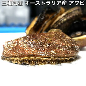 三和海産 オーストラリア産 アワビ 350g 3個 (約1kg)【あわび、鮑、鰒、蚫】おせち 父の日 鮑 あわび 煮貝 あわび煮 アワビ煮貝 ステーキ アワビ 姿煮 アワビシートアワビの煮貝 刺身 おせち awabi ware やわらか 煮 awabi 鮑の輝き 韓国 魚介類 貝 ギフト