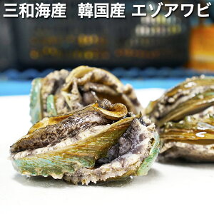 OaCY ؍Y G]Ar 80g-89g 10 yڈ鸁AсA鸁AցAzz ̓   ϊL ю ArϊL Xe[L Ar p ArV[gAr̎ϊL hg  a