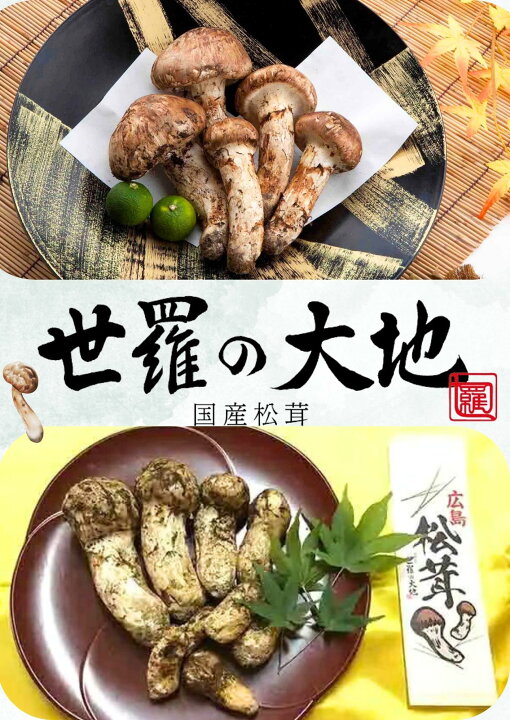 楽天市場】【 ご予約販売 】田野屋塩二郎謹製 国産松茸塩10g「 塩  