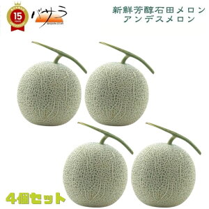y 2026Nx 6\̔ z AfX (  ) 4 (2.5kg) [  ]e1.2kg̑2-3LTCY4 u ̓Mtg  gc  { ʕZbg  t[c 