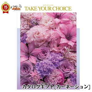 n[jbN eCNEAE`CX J^OMtg J[l[V take your choice oYj o TԂ Cj j o j Mtg z  ̓ Ԃ 