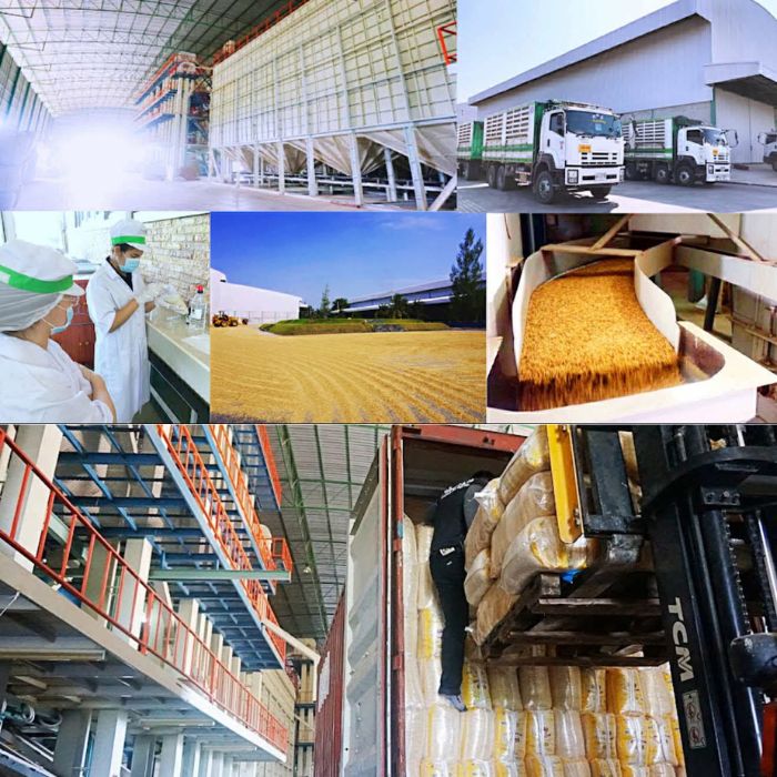 タイ産ジャスミンライス5Kg【送料無料】「タイの最高級米ジャスミン米タイ米香り米お米」