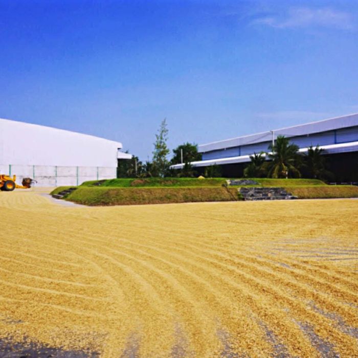 タイ産ジャスミンライス5Kg【送料無料】「タイの最高級米ジャスミン米タイ米香り米お米」