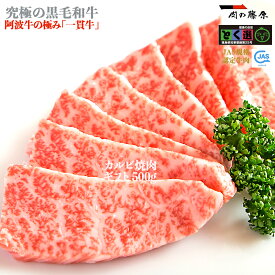 株式会社肉の藤原 一貫牛 阿波牛 牛肉 カルビ 焼肉 500g【一貫牛】黒毛和牛 お歳暮 ギフト お惣菜 内祝 内祝い お返し ホワイトデー 肉 牛肉 和牛 祝い お誕生日 お取り寄せグルメ 贈り物 プレゼント 食品 高級 父の日 法人 ビーフ beef おかず 通販 お取り寄せ