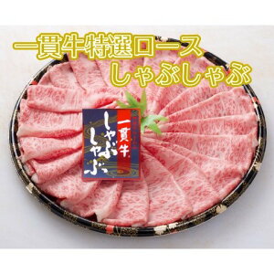 Г̓ ы g  [XԂԁiؐj 500gyыzјa  Mtg y j j Ԃ zCgf[   a j a 