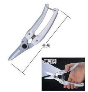 AXiARSjt@~[fbNXzCgnT~