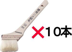 TRUSCO(gXR)ؕpjXpс@20i50mmj@10{