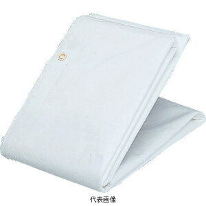 TRUSCO(gXR)hV[g@At@yʃ^Cv@1.8×5.1m