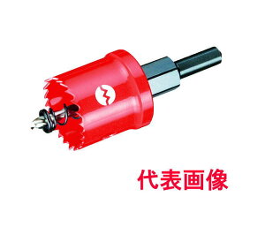 �匩�H�Ɓ@SL�z�[���J�b�^�[�@SL-91