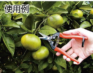 AXiARSjnT~@EʃnT~@190mm