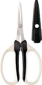 AXiARSjNtg`LnT~@vUiubNj