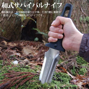 �y�c�n���[�R��