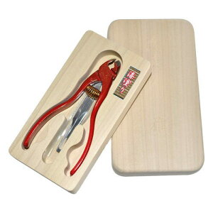 Ñ򐻍쏊ܔl@@F(ܐ؂)؉ϔ