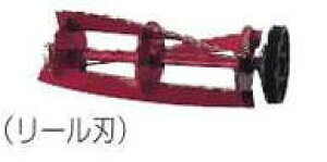 }L^[p]n([n)230mmA-52255