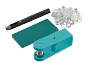 ʃngp` 4mmpvX`bNng30g51561