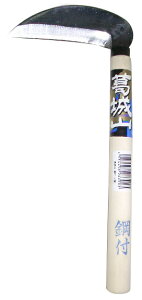 R@|t@nF120mm@No.3361