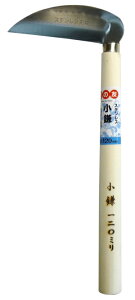 Ԃ̗F@XeX@nF120mm@No.937