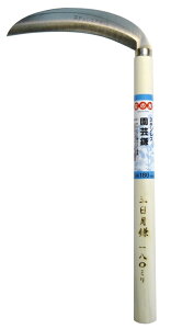 Ԃ̗F@XeX|@nF180mm@No.938