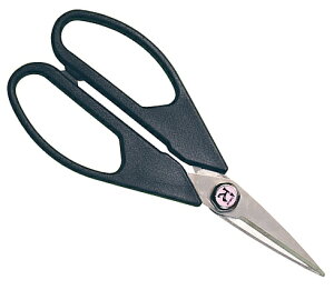 FOREVER(tH[Go[)@`^͂݁@@F@G-SB