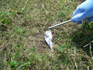 sita@XeX񒷂˂芙@gn@125mmn