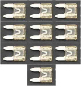 12A24Vp25Aԗp^q[Y@F@10@F2570