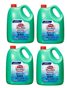 ԉgC}WbNNU[^CvƖp@4.5L@4