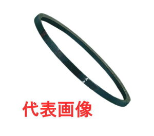 �X�^���_�[�hV�x���g�@A�^�@A-165(4191mm)