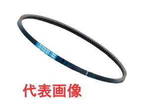 �ȃG�l�^�C�vV�x���g�@BN�^�@BN98(2489mm)