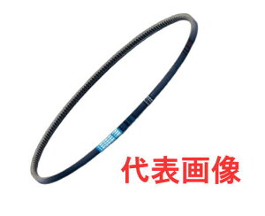 �ȃG�l�^�C�vV�x���g�@CN�^�@CN85(2159mm)