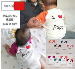 y11/29́g̓hXyVN[|z LbY j̎q q gbvX { S 50cm-60cm ߂ĒVׂ̈4Fpapa/mamZ3132{ۈ牀E[։10 xr[ 