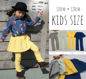 yubNtCf[N[|zy݌ɏIznLbYTCY110cmE120cmLkQXXJbc xr[[։40 2998 ̎qY{