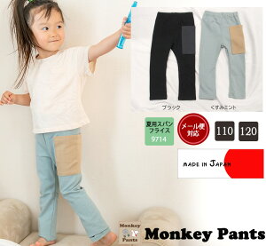 yubNtCf[N[|zy݌ɏZ[zfJ|Pbgt ėpLbYTCY100cm110cm120cmLkQXpc 9714