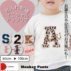 アップリケ名入れ刺繍　綿100％シンプルな無地NOホルマリン半袖Tシャツ