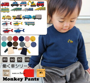 ԃV[YhJ ql̂wfށIӂƃs[`̔G薳nуg[i[(80cm 90cm 95cm 100cm)hԁEpgJ[E~}ԁEVxJ[EX֎ԁ@1923