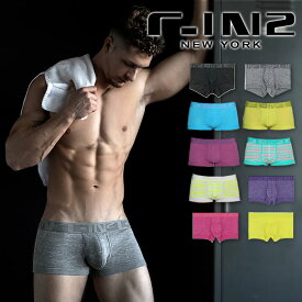 ボクサーパンツ ローライズボクサーパンツ C-IN2 HAND ME DOWN TRUNK シーインツー CIN2 メンズ メンズ下着 ブランド パンツ 男性下着 アンダーウェア 男性用下着 下着 男性 メンズパンツ インナー ボクサー ローライズ 前閉じ 無地 おしゃれ