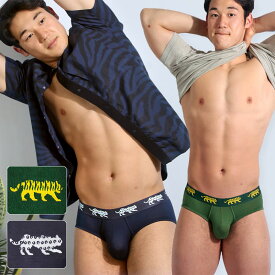 ブリーフ ローライズブリーフ UNDERSTAND アンダースタンド ZOO-PANTS ズーパン モダール 吸湿速乾 軽量 ブリーフ ローライズ ビキニブリーフ メンズ 下着 メンズ下着 パンツ ブランド 男性下着 メンズパンツ かっこいい おしゃれ