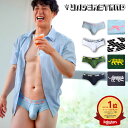 ブリーフ メンズ ローライズブリーフ UNDERSTAND アンダースタンド ZOO-PANTS ズーパン ローライズ ビキニブリーフ ア…