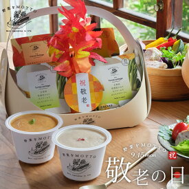 敬老の日 2025 スープ ギフト ｜ プレゼント スープ ポタージュ 限定 ラッピング かご ギフト 野菜をMOTTO バスケット ｜ 敬老 感謝 期間 数量 限定 レンジ 1分 野菜スープ レトルト 常温 カップスープ おしゃれ 国産 野菜 簡単 送料無料