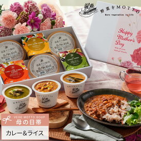 ＼母の日 最短発送 遅れてごめんね！／カレー ライス 6個セット｜国産 野菜 十六 雑穀｜ギフト プレゼント 限定 ラッピング 野菜をMOTTO ｜熨斗 のし 対応｜レンジ 1分 簡単 グルメ 実用的 感謝 ありがとう 常温 おしゃれ 送料無料 配送日指定可
