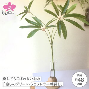 |ĂڂȂũO[EVFt֑}vtFCNO[AG} yWSz